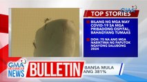 Chikungunya cases sa bansa mula Jan.-Nov. 25, tumaas nang 381% | GMA Integrated News Bulletin