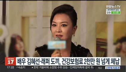 배우 김혜선·래퍼 도끼, 건강보험료 2천만원 넘게 체납