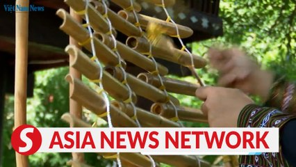 Vietnam News | T'rung bamboo instrument 