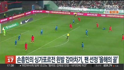 축구팬 선정 '올해의 골'은 싱가포르전 손흥민 왼발 감아차기