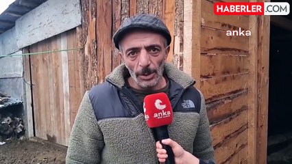 Artvinli besici, ahır kiralayarak sıkıntılarını anlattı