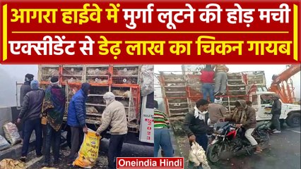 Agra में एक्सीडेंट के बाद मुर्गा लूटने की होड़, बोरा में भरकर ले गए, Video Viral | वनइंडिया हिंदी