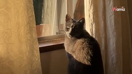 Une femme trouve des fleurs dans sa chambre : l’identité de son admirateur secret est à peine croyable