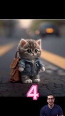 If I listened to you _respect