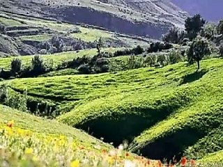 YSDJ vs IDIR - Vava Ynouva (2010 remake)