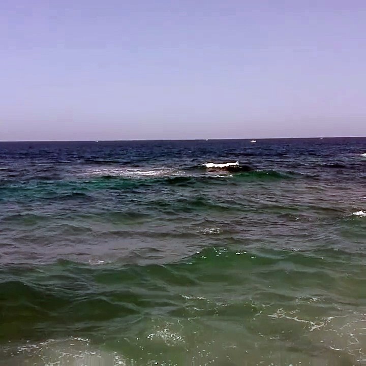 alexandria sea