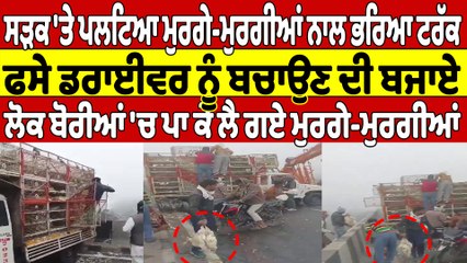 ਸੜਕ 'ਤੇ ਪਲਟਿਆ ਮੁਰਗੇ-ਮੁਰਗੀਆਂ ਨਾਲ ਭਰਿਆ ਟਰੱਕ, ਲੋਕ ਬੋਰੀਆਂ 'ਚ ਪਾ ਕੇ ਲੈ ਗਏ ਮੁਰਗੇ-ਮੁਰਗੀਆਂ |OneIndia Punjabi