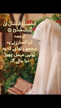 Islamic short quotes reels