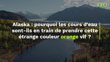 Alaska : pourquoi les cours d'eau sont-ils en train de prendre cette étrange couleur orange vif ?