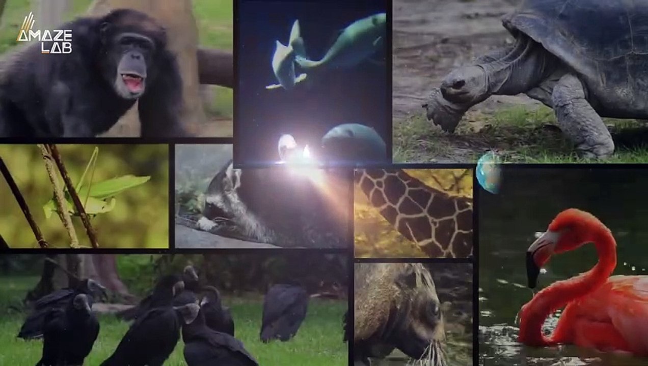 Here’s How Bad It Would Be if Earth Instantly Stopped Rotating