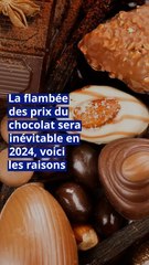 La flambée des prix du chocolat sera inévitable en 2024, voici les raisons.