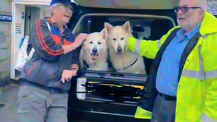 What Bleak Holt Animal Sanctuary has achieved this year