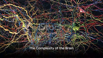 Descargar video: Unraveling the Mysteries of the Brain