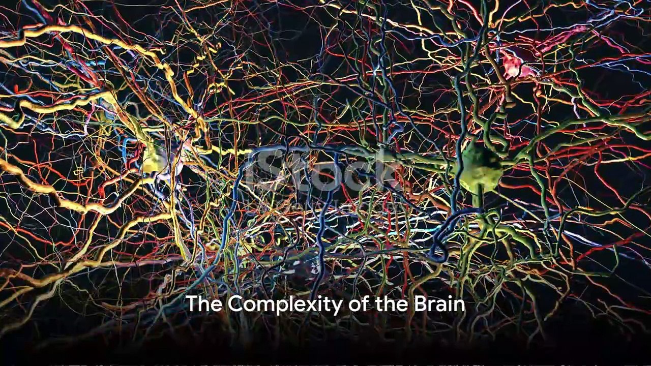 Unraveling the Mysteries of the Brain - Video Dailymotion