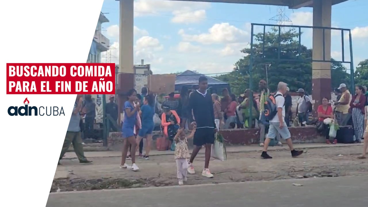 Buscando comida para el fin de año