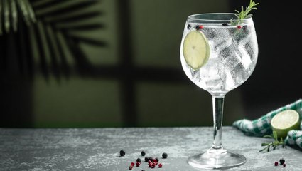 The 13 Top 13 Gins to Elevate Your Home Bar 🍸
