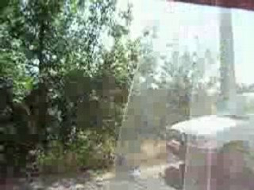 Matoub