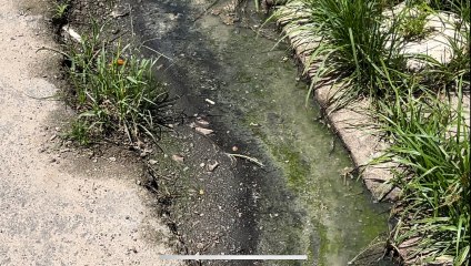 Esgoto   na rua 15 de Novembro no centro de Itambé.