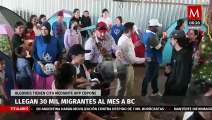 Llegan 30 mil migrantes al mes a Baja California, algunos tienen cita con CBPOne