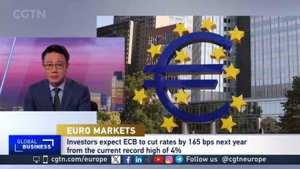 European economies in 2024: 'We are in this uncertain environment'