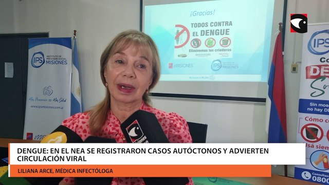 Dengue en el NEA se registraron casos autóctonos y advierten circulación viral