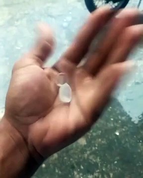 Forte chuva com granizo derruba árvores e danifica casas em Coreaú