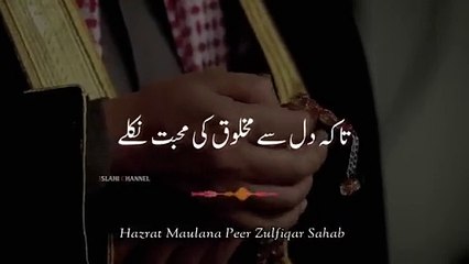 Allah Ki Mohabbat  Dil Me Kaise Laye __ Hazrat Maulana Peer Zulfiqar Ahmad N