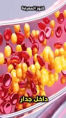 يمنع انسداد وضيق الشّرايين