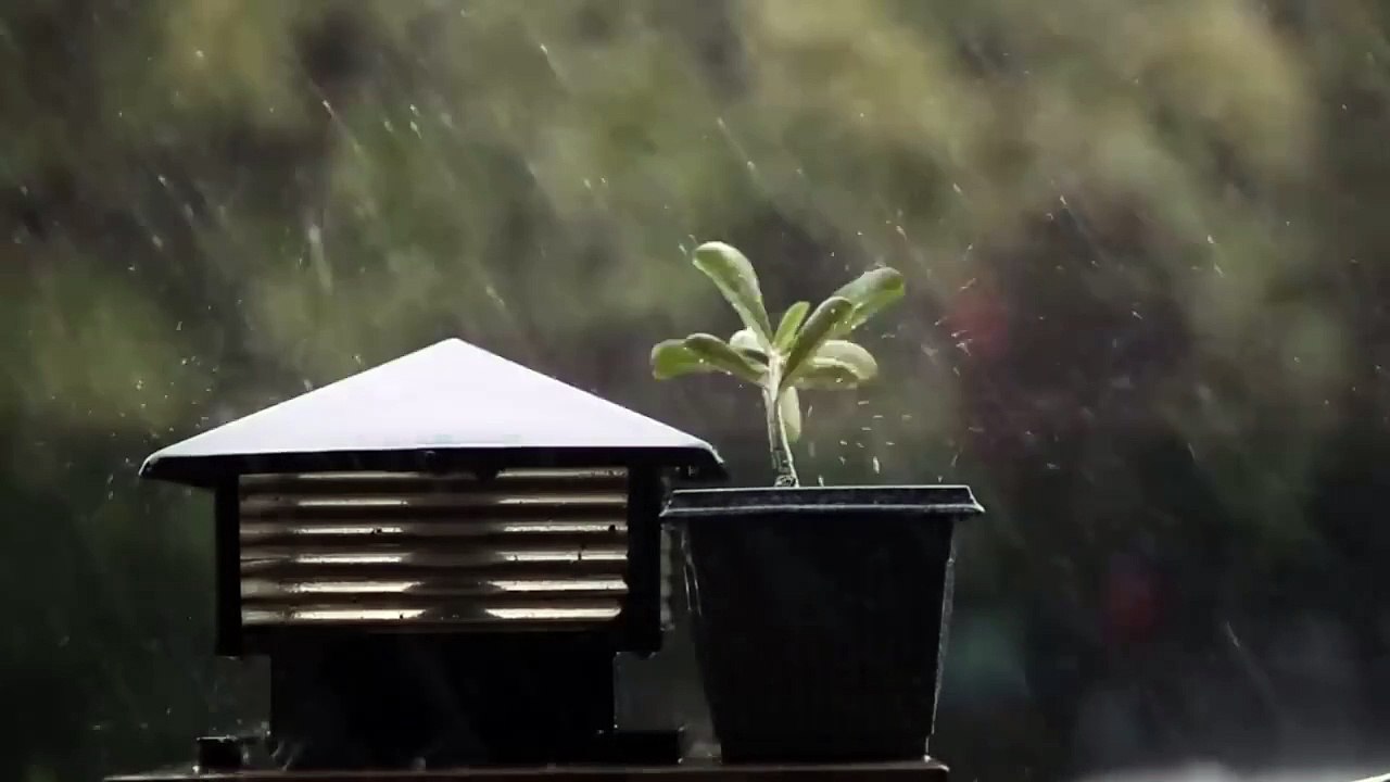 Better Days_ Relaxing Guitar music to sleep study and focus 1 hour of guitar music and rain sounds(720P_HD)