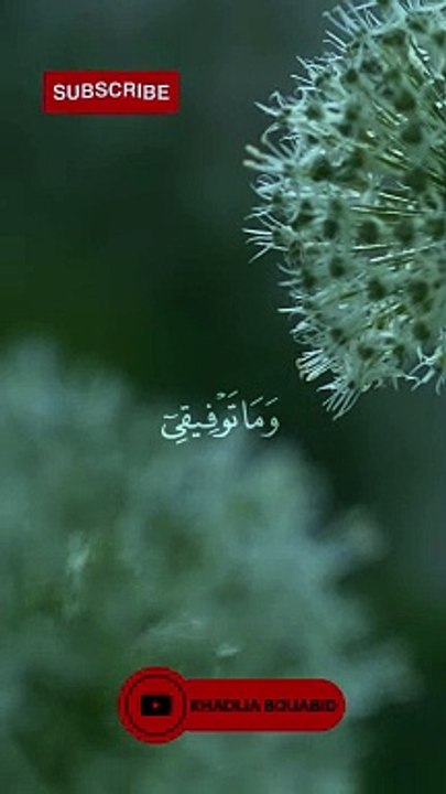 انما التوفيق من عند الله