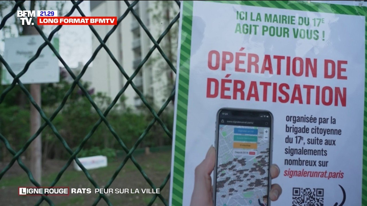 LIGNE ROUGE - "Je suis en train de faire de faire du bénévolat pour vivre dans une ville correcte au lieu de partir"