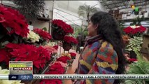 En México continúan las celebraciones por Navidad y Fin de Año