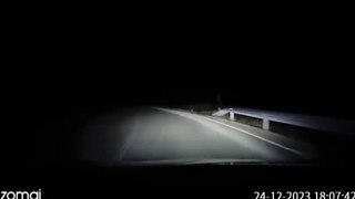 Medvjed iskočio ispred vozača na putu u BiH