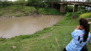 Pesca en ARROYITO con poca agua y LAGUNA espectacular | Pesca de Bagres Sapos y Tarariras | Exploración y mucha Naturaleza | Video de Pesca