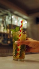 WSA - BAR VIDEO FOR PINK FLAMINGO