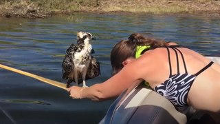 Esta chica decidió salvar la vida de una águila