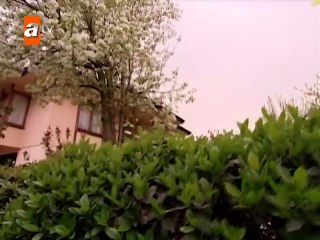 141. Sila (Cautiva de Amor), en español