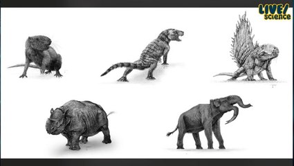 The Rise And Reign of Mammals