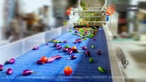 Universal Vegetables Washing and Drying Line #vegetablewashingmachine  #universalwasher #bubblewasher