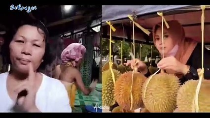 Perubahan Tampilan Versi Tik Tok _ The SHOW Lenka