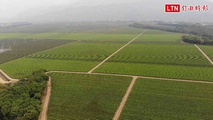 屏東老埤農場傳將建光電站？農業部否認引發立委激烈爭議 ⚡