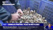 Sur le bassin d'Arcachon, on recycle les coquilles d'huîtres