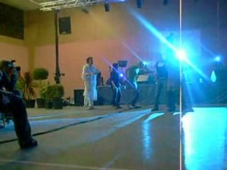 mesniere en bray 2008