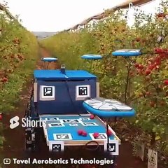 Harvesting Drones #shorts #viral #shortsvideo #video #innovationhub