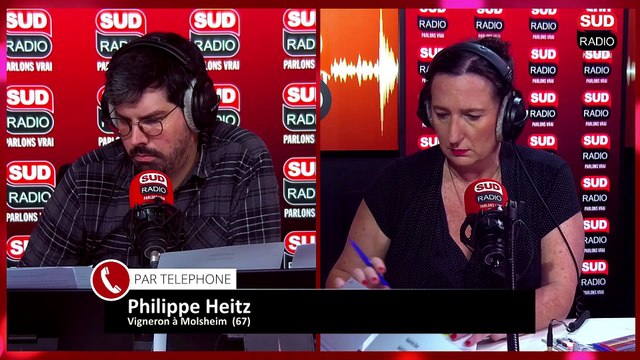 Cette année, les ventes sont en dents de scie , explique Philippe Heitz, vigneron