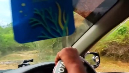 When Animals Go On A Rampage!!