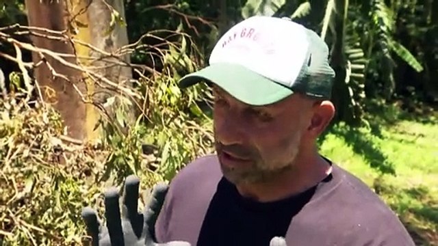 Emergency crew help Queenslanders after Christmas storms