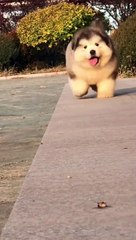 #MCM, #TransformationTuesday, #WednesdayWisdom, #TBT, #FF, #FridayReads, #Caturday, and #SelfieSunday.- (3)