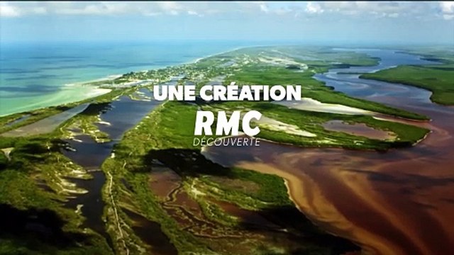 Avant Jurassic Park : l’apocalypse des dinosaures - 29 décembre