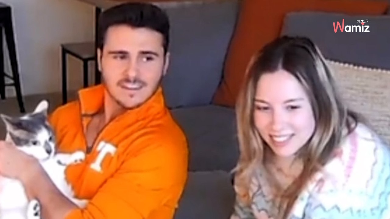 Son chat lui prouve qu'il faut toujours se méfier des apparences devant 92,4M de personnes hilares (vidéo)